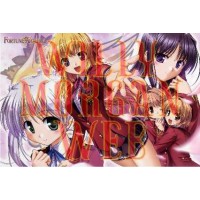 Fortune Arterial